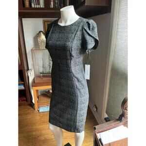 Calvin Klein Gray/Black Woman's Dress Size 10